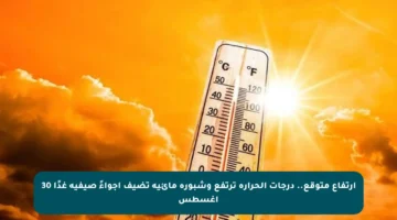 ارتفاع متوقع.. درجات الحرارة ترتفع وشبورة مائية تضيف أجواءً صيفية غدًا 30 أغسطس